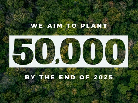 2025 Eblast_50000 Trees