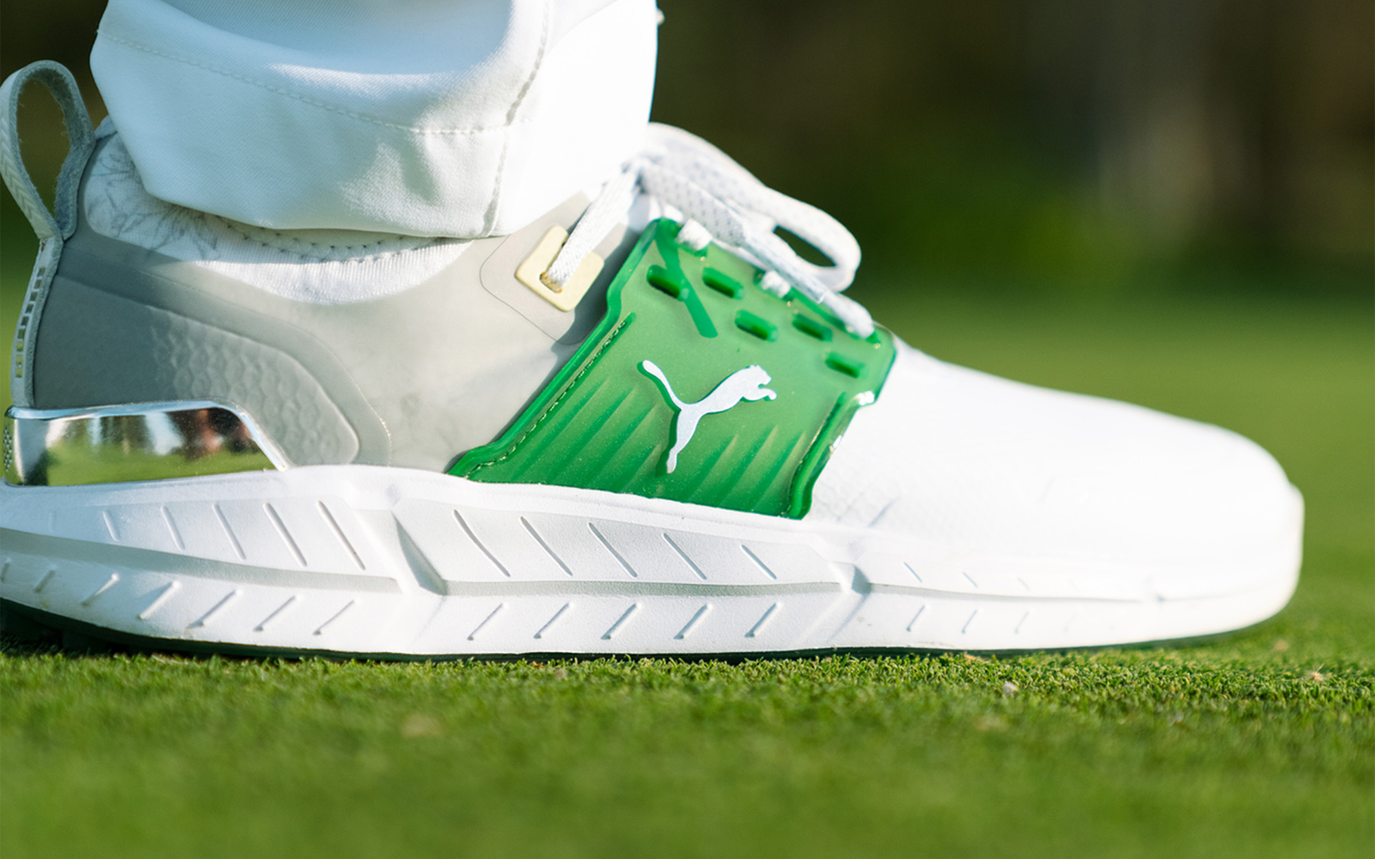 shoe2